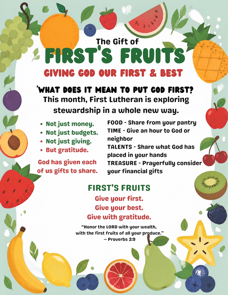 First Fruit Flyer